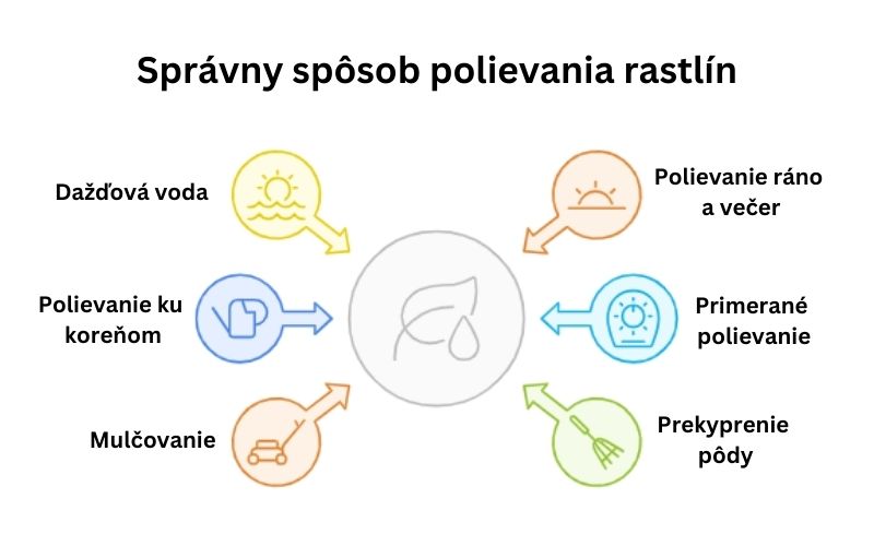 Správny spôsob polievania